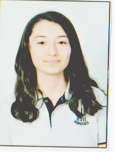 BUSE ARIKAN